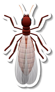 A sticker template with top view of winged reproductive termite isolated
