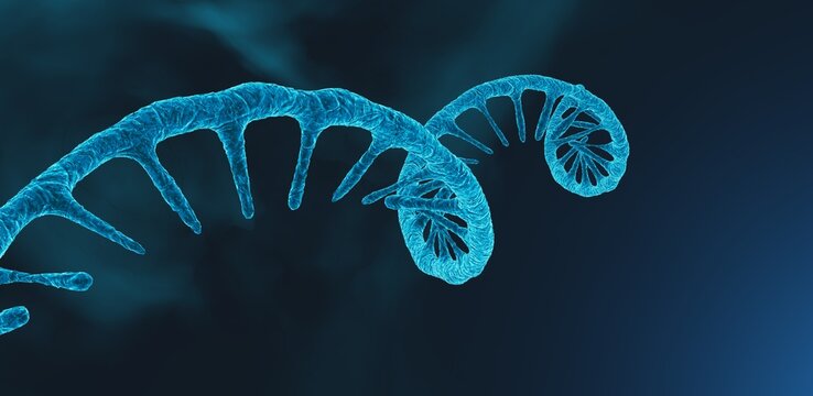 Coronavirus RNA strand. Medical illustration. 3D rendering