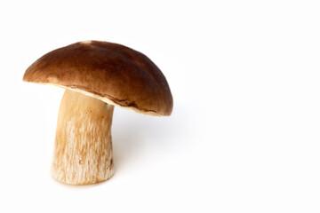 White mushroom on a white background. Edible mushrooms. Isolate. Soft focus. Photo