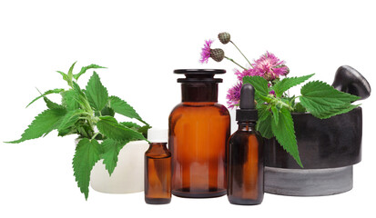 Spa composition with Fresh herbs. Alternative medicine, natural herbal methods of treatment.