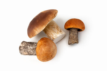 Mushrooms on a white background. Edible mushrooms. Isolate. Mushrooms for pickling. Flat lay. Photo