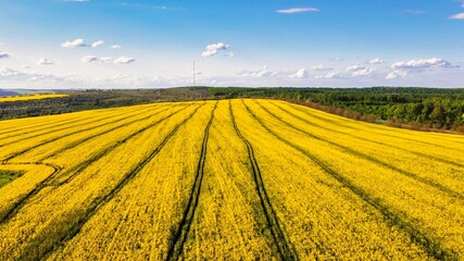 Aerial drone view of nature in Moldova