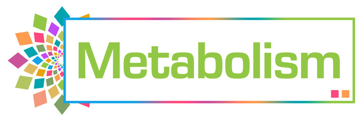 Metabolism Colorful Circular Box 