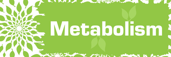 Fototapeta na wymiar Metabolism Green Leaves Scratch Background Horizontal 