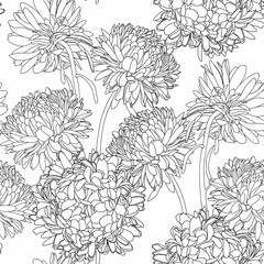 Seamless repeating pattern with hand drawn chrysanthemum aster flowers in black line on white. Decorative print for wallpaper, wrapping, textile, fabric, greetings.
