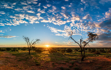 Kalahari Sunset