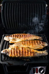 trout fish on the grill during cooking