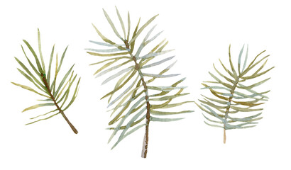 Set of watercolor pine branches and berries isolated on a white background. Winter clipart.