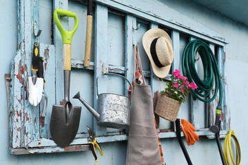 Beautiful plant, gardening tools and accessories on shed wall