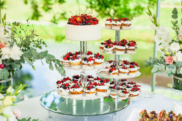 cake decorated with red berry