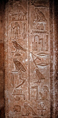 Ancient Egyptian hieroglyphs with the image of different birds