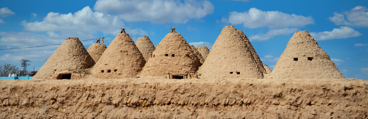 Fototapeta na wymiar Traditional beehive mud brick desert houses, Harran near the Syrian border, Turkey