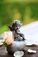 Obraz premium engel und rose