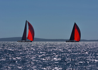 Maxi race with two gennaker sails