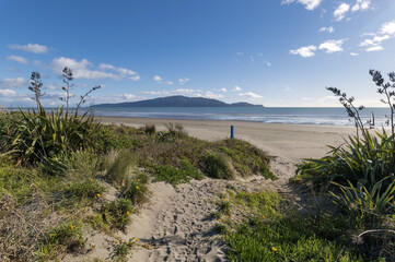 Waikanae Beach showing path to beach and foreground dunes