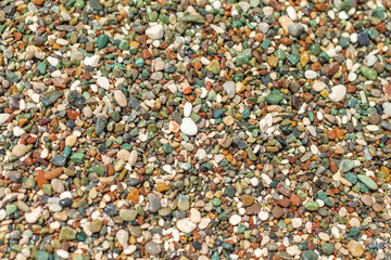 Sea pebble with green stones