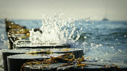 Meer-Wasser: 