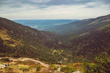 Fototapeta premium Beautiful green mountain forest landscape. Karkonosze National Park, Poland.