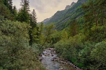 Fototapeta na wymiar a small river between the mountains