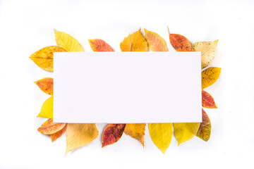 Autumn leaves frame background