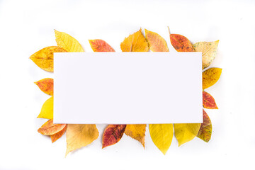 Autumn leaves frame background