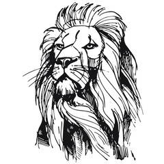 vector realistic hand drawing of majestic lion head isolated on white background. imitation of a drawing with black ink. Useful for tattoos, posters, zoos, safaris, nature reserves, t-shirt printing © Nadiya