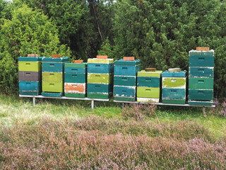 Colorful beehives with flying honey bees