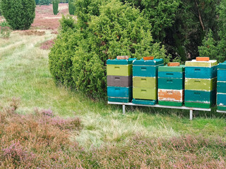 Colorful beehives with flying honey bees