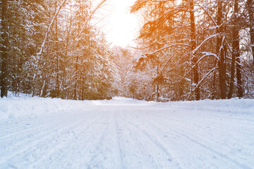 Winter snowy road through the coniferous forest