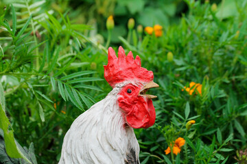 garden figure rooster on the background of green plants. 