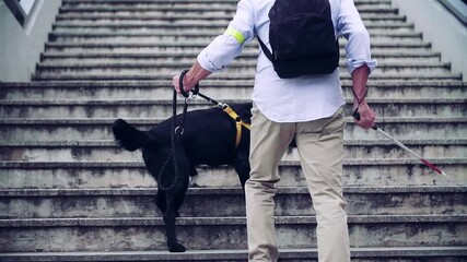 a rear view of senior blind man with guide dog walking up the stairs in city slow 