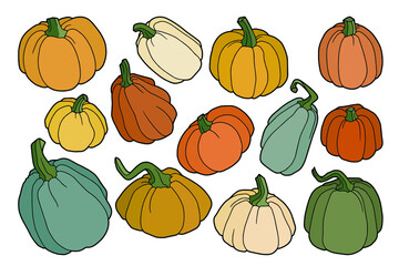 Pumpkins of different shapes and sizes. 