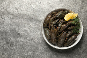 Fresh raw crayfishes with lemon and dill on grey table, top view. Space for text