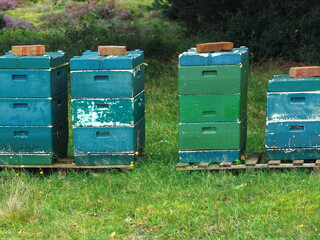Colorful beehives with flying honey bees