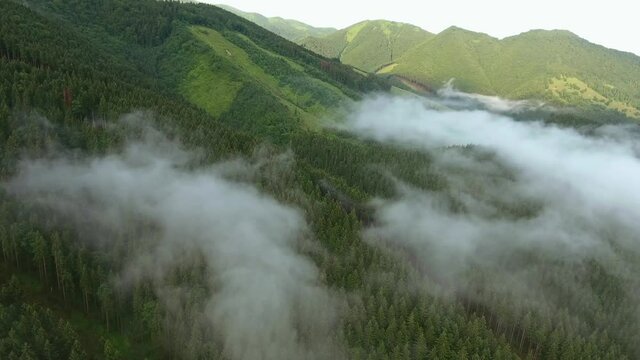 aerial view of coniferous forest and rocky hills mala fatra misty day