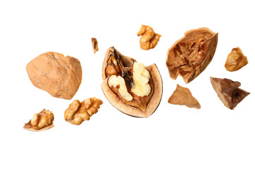 Pieces of walnut and shell falling on white background