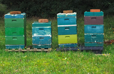 Colorful beehives with flying honey bees