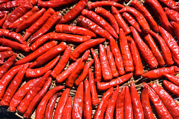 dried red paper in korea