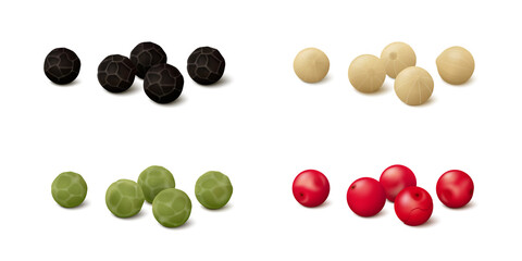 Groups of several peppercorns of different colors (white, green and black pepper, pink (Brazilian or Peruvian)). Realistic vector illustration. Side view.