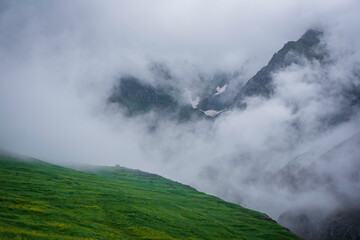 fog in the mountains