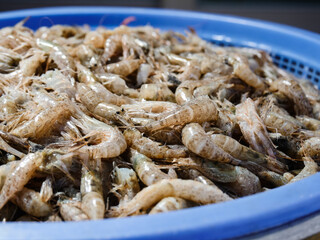 Fresh shrimp to make kimchi cook 