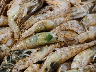 Fresh shrimp to make kimchi cook 