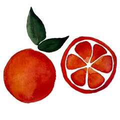 Watercolor orange with slice