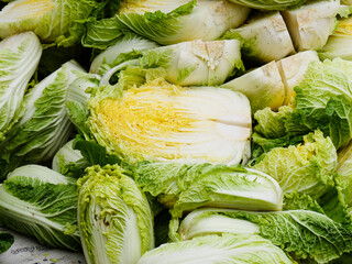 Washing and salted cabbage to make kimchi