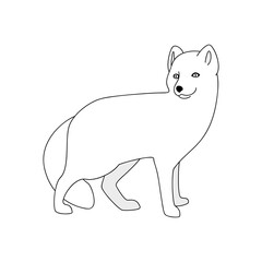 vector white arctic fox wild nature fur hunt animal enviromental protection ecological problem north