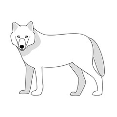 vector white arctic wolf wild nature predator hunt animal enviromental protection ecological problem north