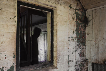 A blurred, ghostly figure. Framed in a window in a decaying old abandoned house