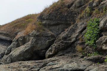 Black Sea coast. A seashore formed by frozen volcanic lava. Tectonic rocks.