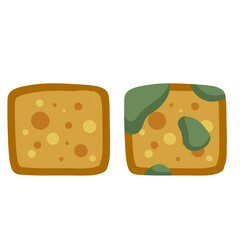Bread with mold. Incorrect storage of the product. Fungus and rot. Sliced loaf for a sandwich. Flat illustration
