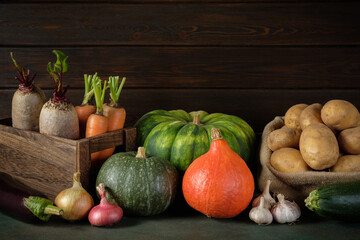 Fototapeta na wymiar Fresh autumn vegetables on the table. Concept of healthy food. Copy space.
